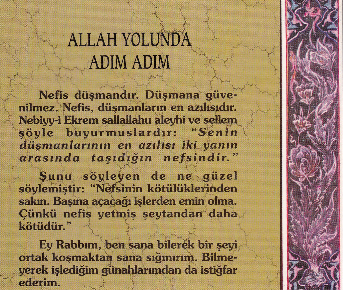 Allah Yolunda Adim Adim