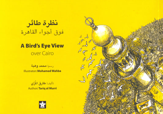 نظرة طائر فوق اجواء القاهرة- A Bird's Eye View over Cairo - سوفت