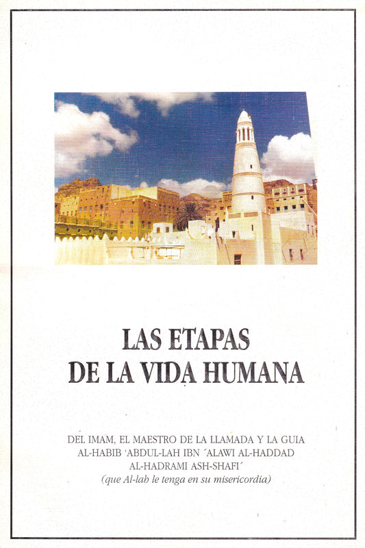 Las Etapas De La Vida Humana