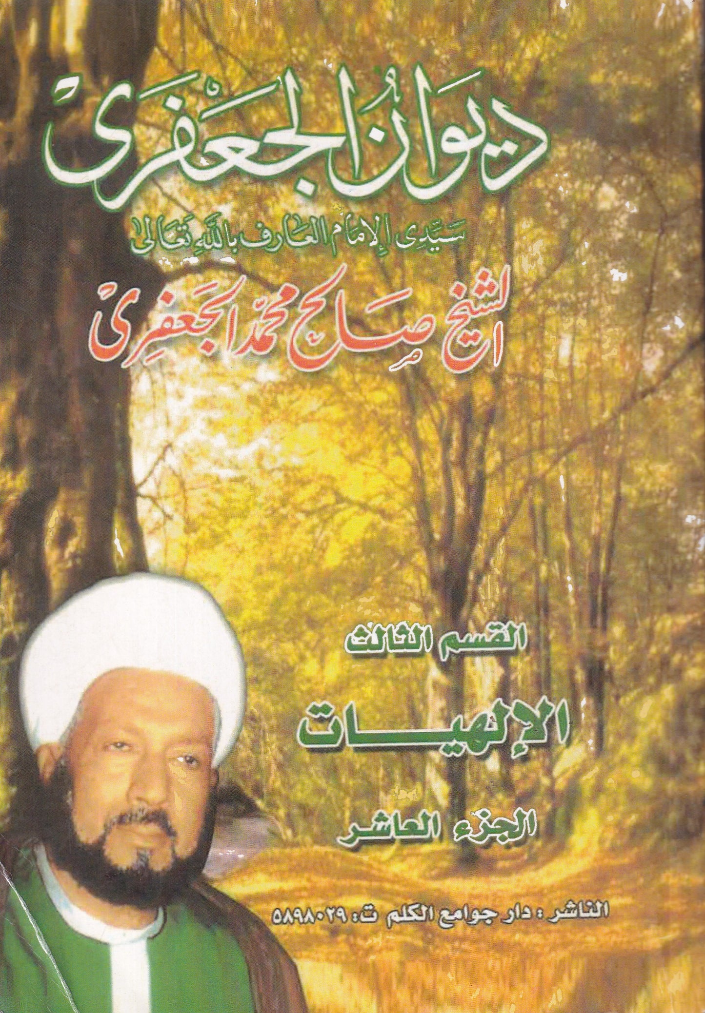 ديوان الجعفرى - الإلهيات - القسم الثالث - ج10