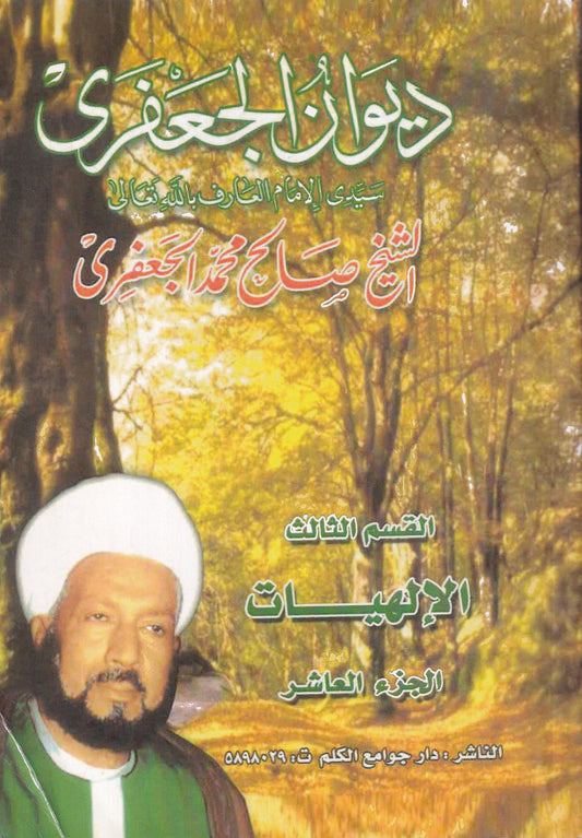 ديوان الجعفرى - الإلهيات - القسم الثالث - ج10