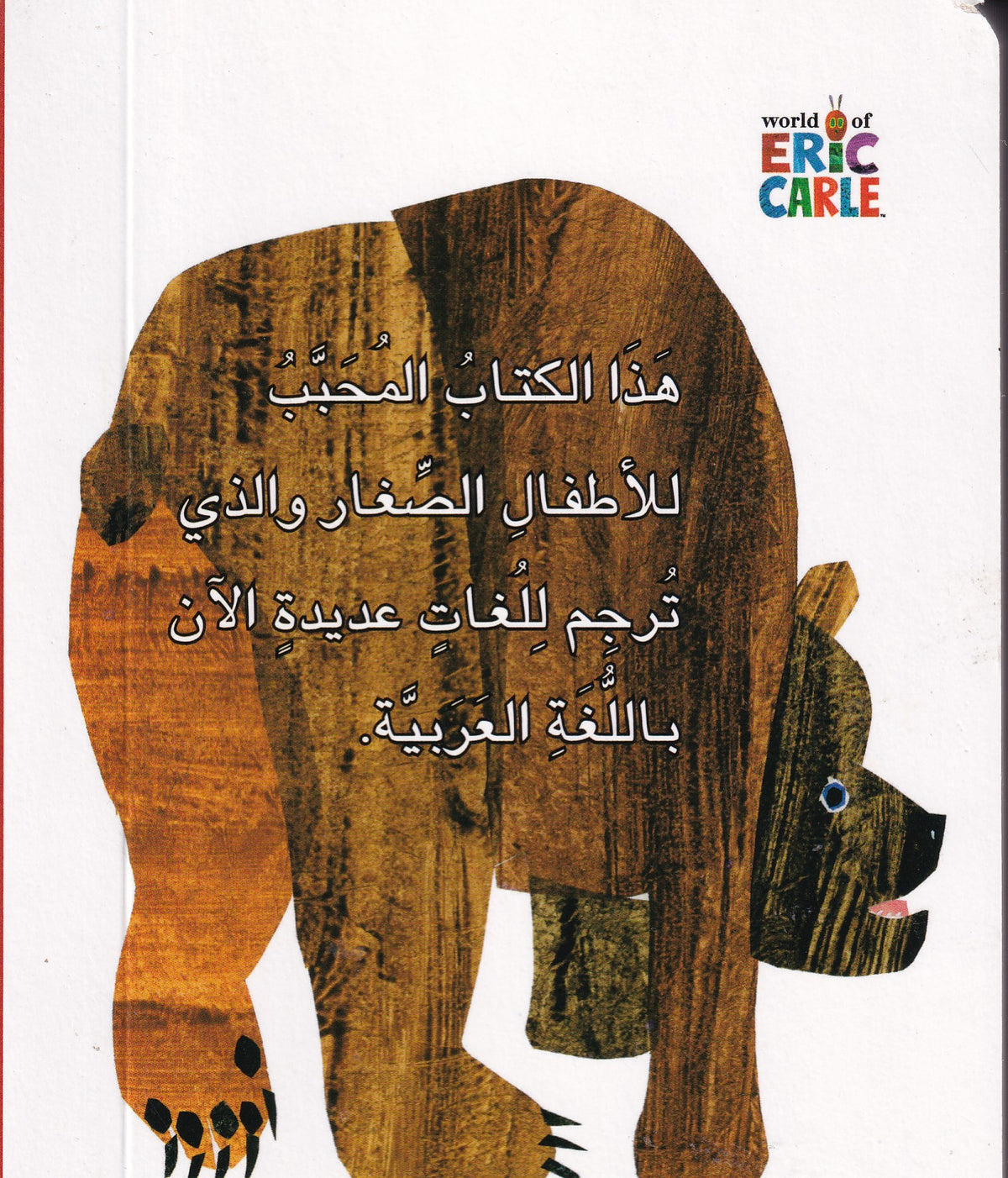 ايها الدب البني ما تري؟