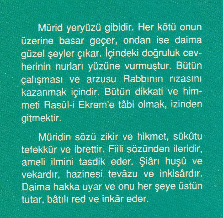 Dervisin Edebi