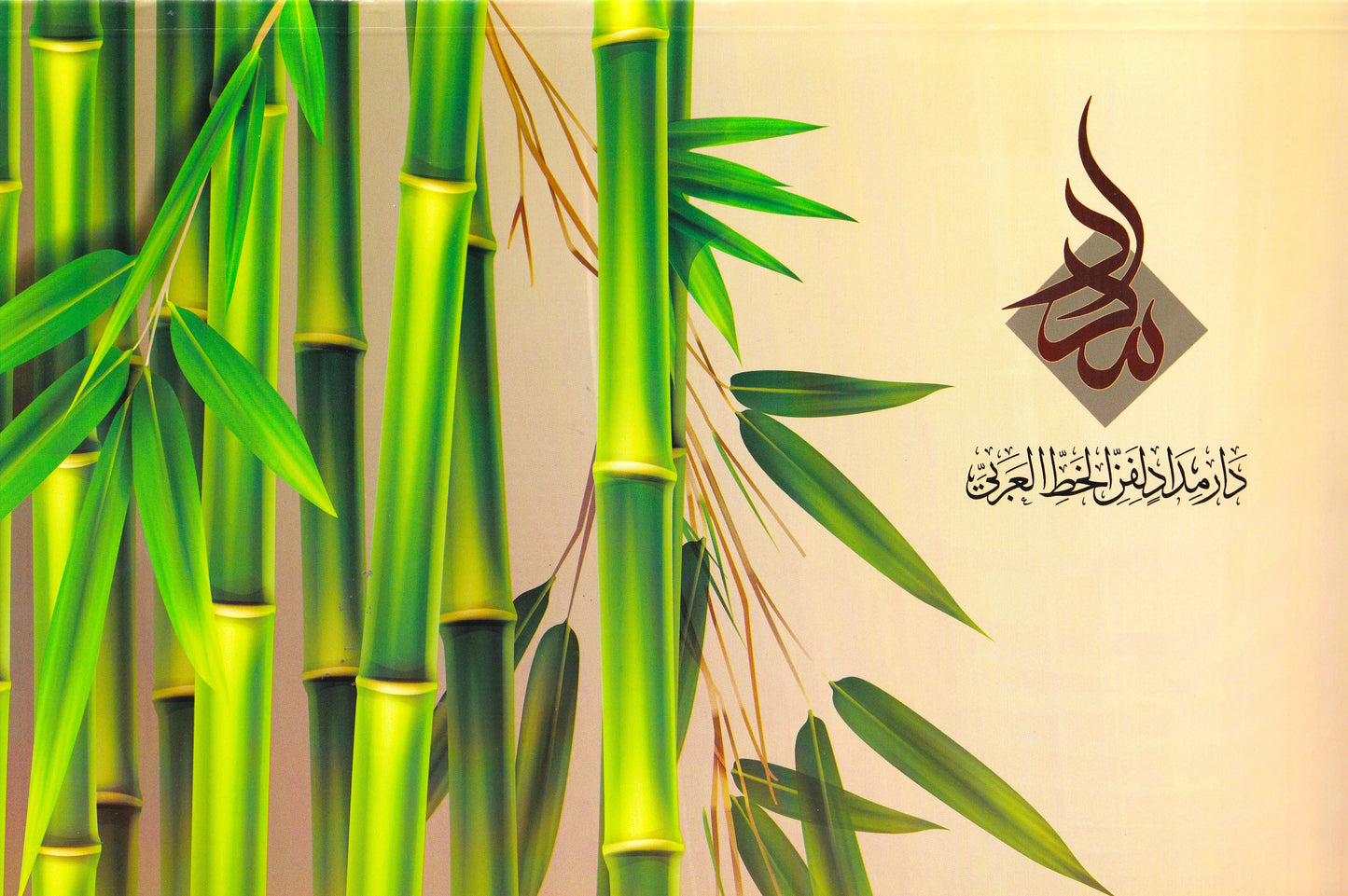 اسكتش ورق كوشية كبير